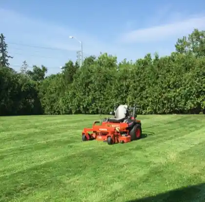 Lawn Mowing