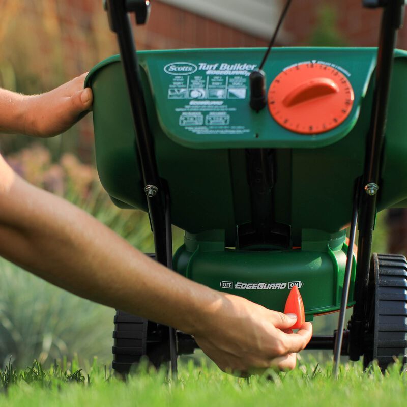 Overseeding