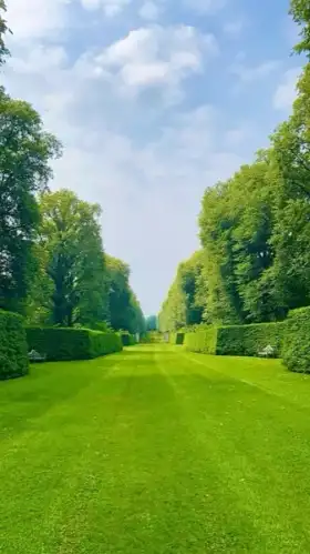 Commercial grass cutting in Richmond Hill
