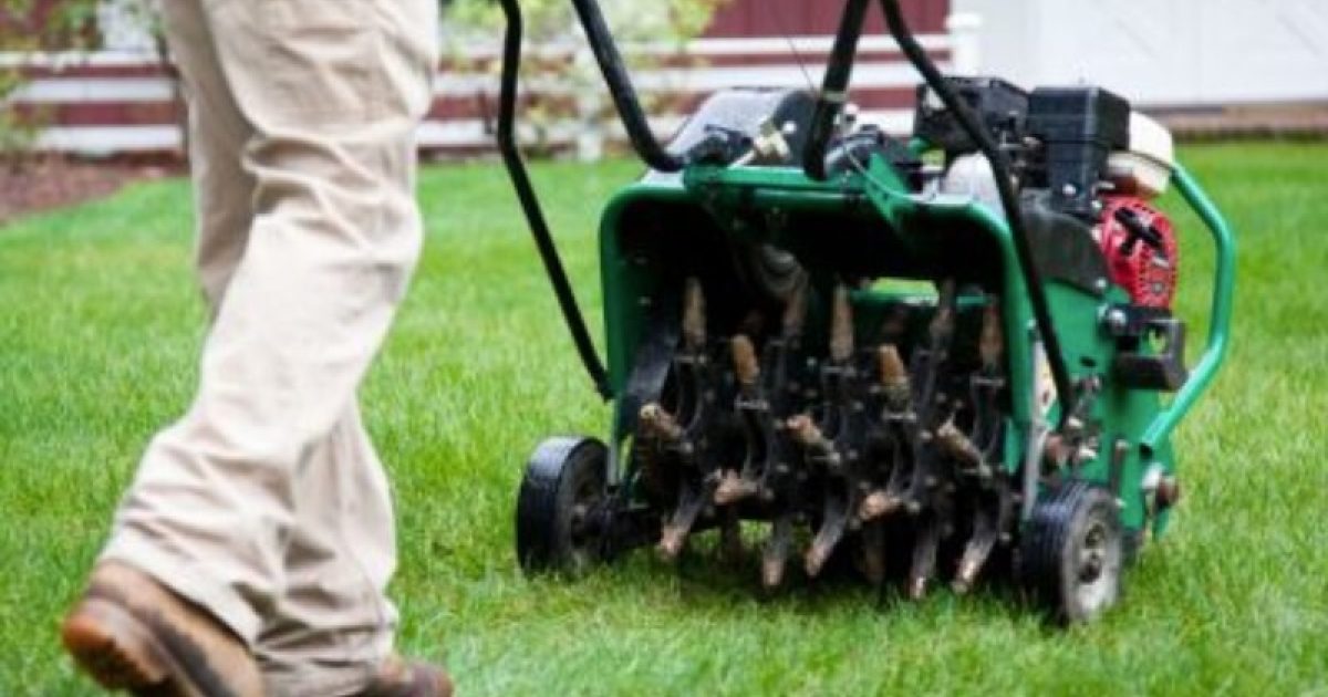 How to aerate your lawn