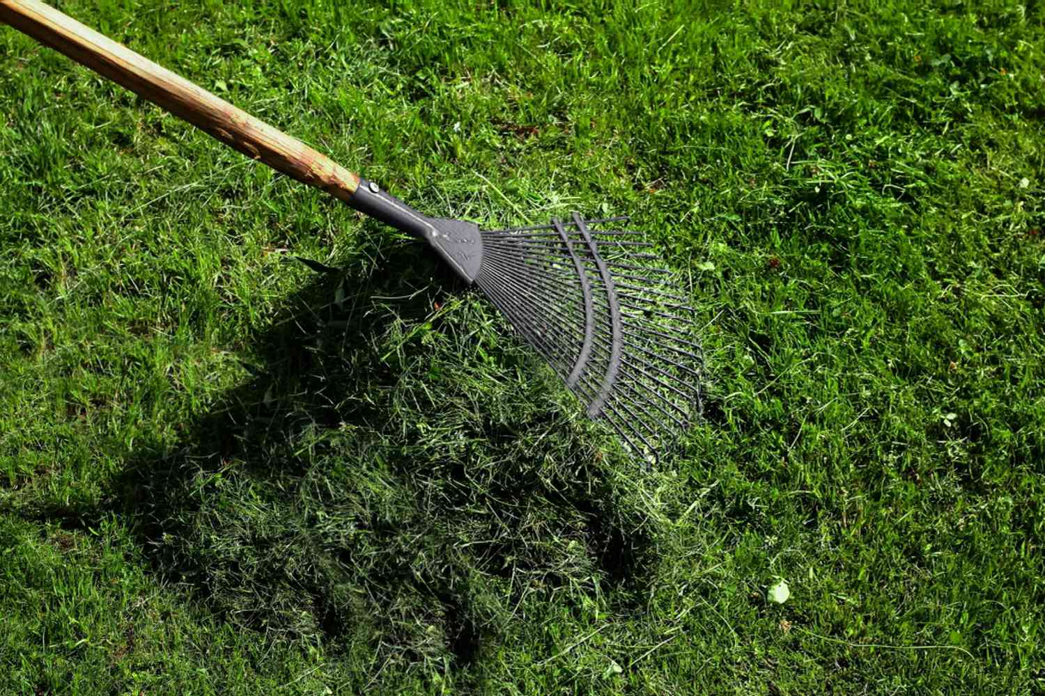 Lawn dethatching guide
