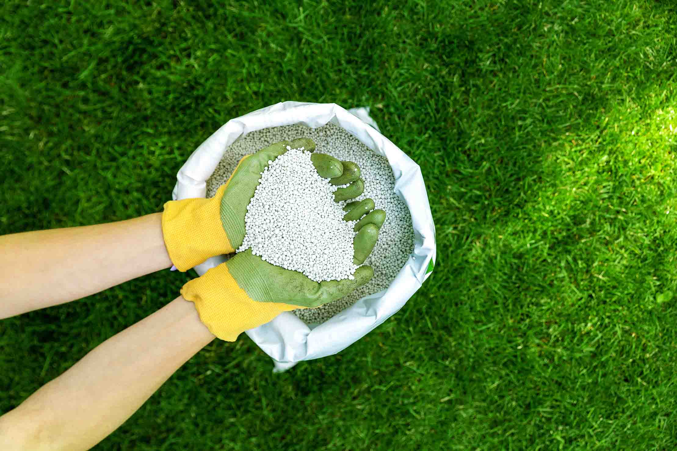 When to fertilize lawn Ontario