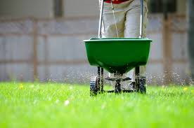 Well-fertilized lawn and garden beds — healthy Ontario residential landscape