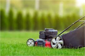 When to cut grass Ontario