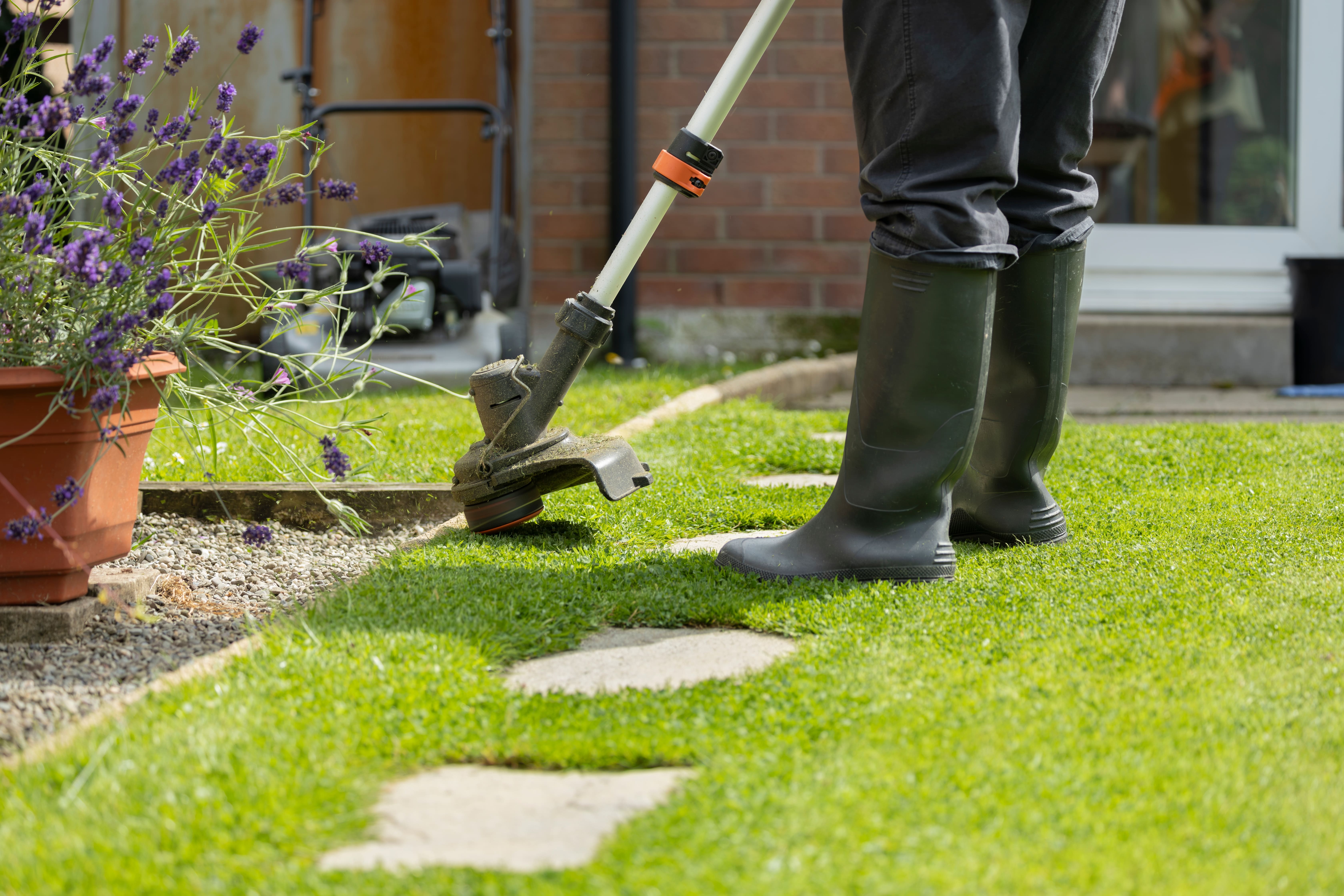 Garden bed with mulch and clean lawn edge — trench edging method result